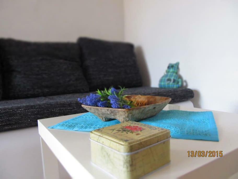 Charming Apartments With Garden 波尔 外观 照片